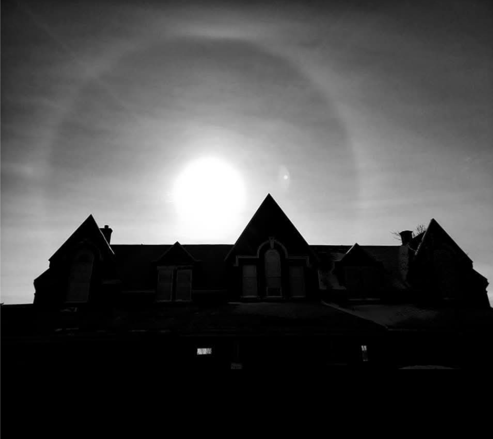 Roof Ninjas LTD crew at work